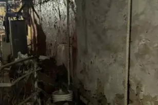 2742 N 29th St, Philadelphia, PA 19132 - Photo 2