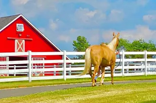 11 Danberry Dr, Ringoes, NJ 08551 - Photo 48