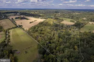 14 Hunter Rd, Lambertville, NJ 08530 - Photo 36