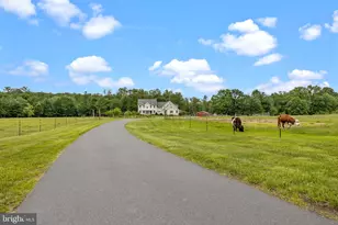 658 Brunswick Pike, Lambertville, NJ 08530 - Photo 104