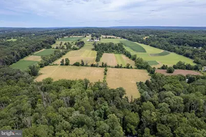 960 Sergeantsville Road, Stockton, NJ 08559 - Photo 20