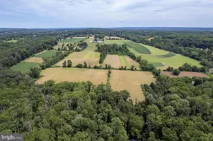 960 Sergeantsville Rd, Stockton, NJ 08559 - Photo 20