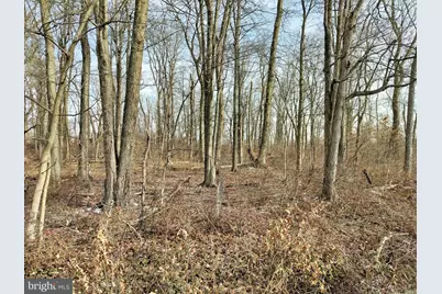 147 Rocktown Road, Ringoes, NJ 08551 - Photo 8