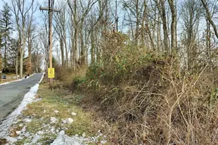 147A Rocktown Rd, Ringoes, NJ 08551 - Photo 46