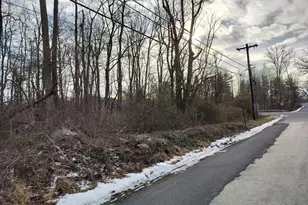 147A Rocktown Rd, Ringoes, NJ 08551 - Photo 40