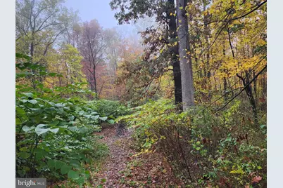 54 Ridge Road, Hopewell, NJ 08525 - Photo 2