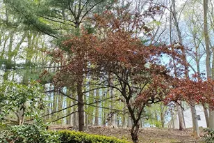 32 Cherryville Hollow Rd, Flemington, NJ 08822 - Photo 10