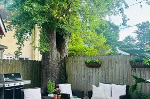 53 Buttonwood St, Lambertville, NJ 08530 - Photo 20