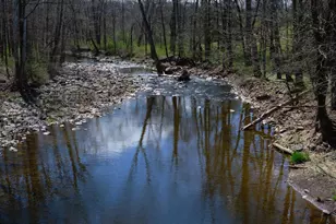 119 Raven Rock Rd, Stockton, NJ 08559 - Photo 38