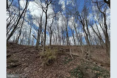162 York Street, Lambertville, NJ 08530 - Photo 22