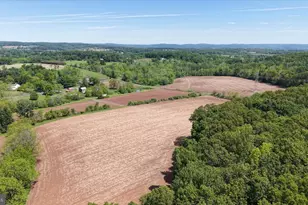 441 Pittstown Rd, Franklin Township, NJ 08867 - Photo 42