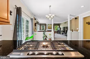 3 Culture Ct, Lambertville, NJ 08530 - Photo 18