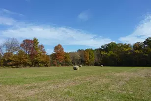 35 Barbertown Point Breeze Rd, Frenchtown, NJ 08825 - Photo 6