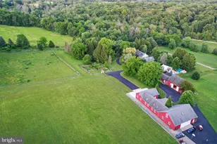 65 Brookville Hollow Rd, Stockton, NJ 08559 - Photo 48