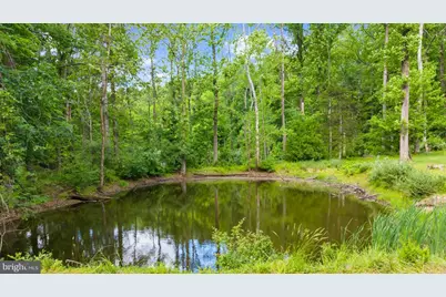 37 Brookville Hollow Road, Stockton, NJ 08559 - Photo 28