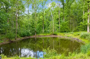 37 Brookville Hollow Rd, Stockton, NJ 08559 - Photo 28