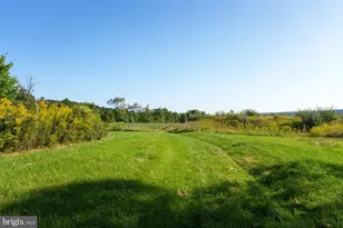 78 Rocktown Rd, Ringoes, NJ 08551 - Photo 6