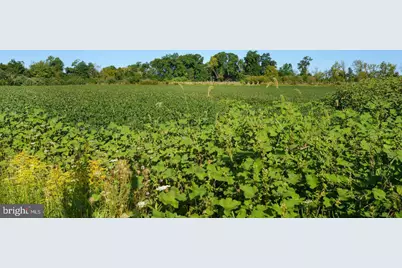 78 Rocktown Road, Ringoes, NJ 08551 - Photo 12