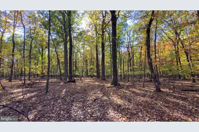 37 Lt Hooper Road, Milford, NJ 08848 - Photo 2
