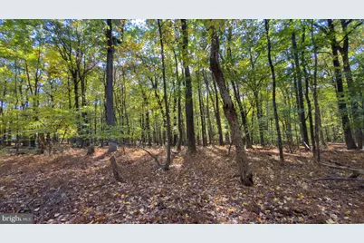 37 Lt Hooper Road, Milford, NJ 08848 - Photo 4