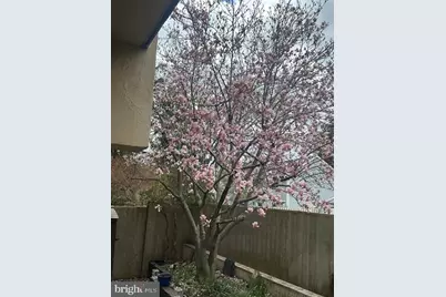 1 Markham Road #1D, Princeton, NJ 08540 - Photo 32