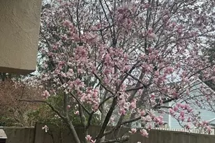 1 Markham Rd, Princeton, NJ 08540 - Photo 32