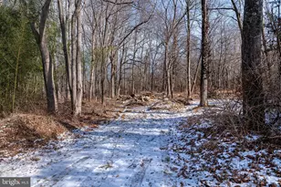 Lot 39 Stony Brook Rd, Hopewell Township, NJ 08525 - Photo 1