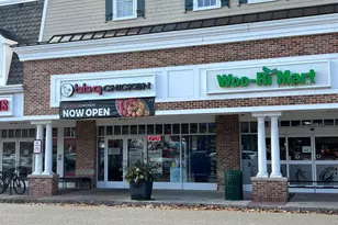 24 Scott Ave, Princeton Junction, NJ 08550 - Photo 44