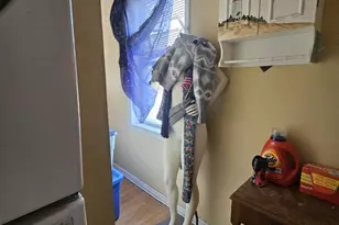 205 Harrison Ave, Hamilton Township, NJ 08610 - Photo 26