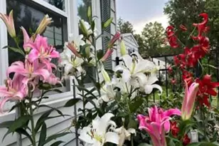 37 Green Ave, Lawrenceville, NJ 08648 - Photo 50
