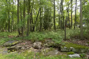 1 Filmore Rd, Millstone Township, NJ 08510 - Photo 22