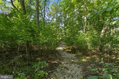 20 Hankins Farm, Allentown, NJ 08501 - Photo 54