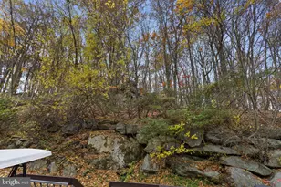 97 Continental Rd, Morris Plains, NJ 07950 - Photo 50