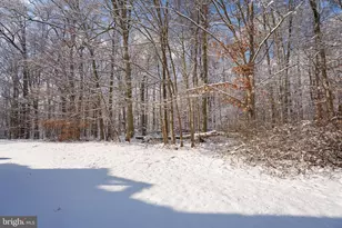 7123 Elm Ct, Monmouth Junction, NJ 08852 - Photo 22