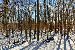 38 Edgemere Dr, Kendall Park, NJ 08824 - Photo 2