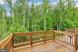 406 Ellsworth Wy, Monmouth Junction, NJ 08852 - Photo 48