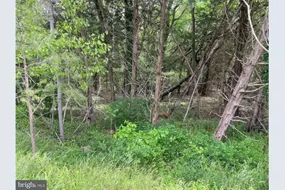 0 Main Street, Little Egg Harbor, NJ 08087 - Photo 1