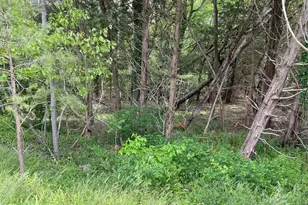 0 Main St, Little Egg Harbor, NJ 08087 - Photo 1