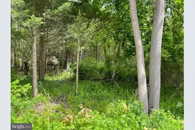 0 Route 9, Little Egg Harbor, NJ 08087 - Photo 6