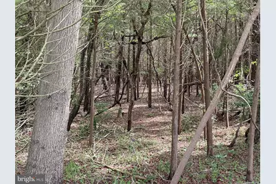 0 Route 9, Little Egg Harbor, NJ 08087 - Photo 12