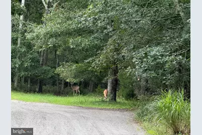 0 Pinewood, Little Egg Harbor, NJ 08087 - Photo 2