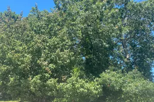 2012 Breakers Dr, Barnegat, NJ 08005 - Photo 1