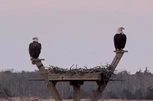 202 S Creek Dr, West Creek, NJ 08092 - Photo 44