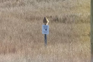 202 S Creek Dr, West Creek, NJ 08092 - Photo 52