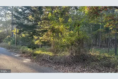 1076 S Main Street, West Creek, NJ 08092 - Photo 4