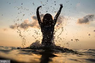 13 Dahlia Ct, Bayville, NJ 08721 - Photo 28