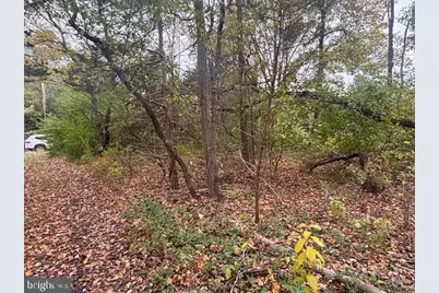 23 Kuzyk Road, Cream Ridge, NJ 08514 - Photo 4