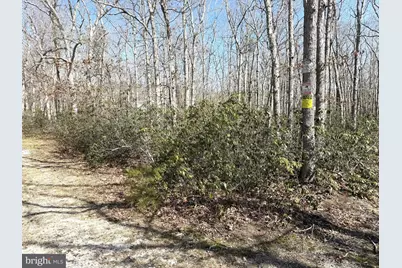 0 Cedar Bridge Rd, Barnegat, NJ 08005 - Photo 4