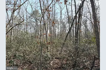 0 Cedar Bridge Rd, Barnegat, NJ 08005 - Photo 10