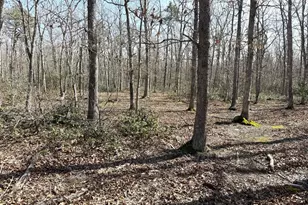 0 Birchwood, Tuckerton, NJ 08087 - Photo 1